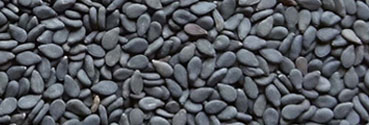 Organic Black Sesame Seeds