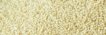 Organic Amaranth