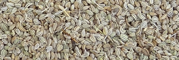 Organic Ajwain (Anise) Seeds