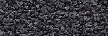 Organic Nigella Kalonji Seeds