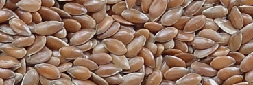 Organic Flax Seeds (Linseeds)