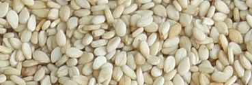 Organic Natural Sesame Seeds